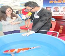 2016年3月19日第七回日本有名鱼场拍卖会花絮