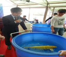 2017年4月1日第八回日本有名鱼场拍卖会花絮